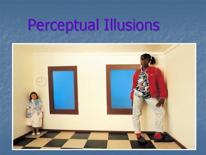 Perceptual Illusions 