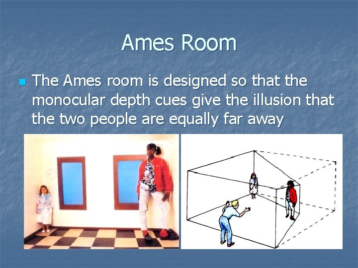 Ames Room n The Ames room is designed so that the monocular depth cues
