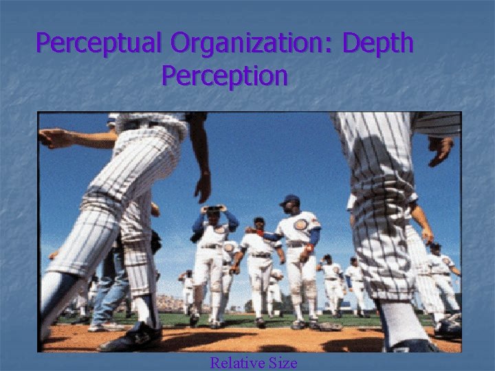 Perceptual Organization: Depth Perception Relative Size 