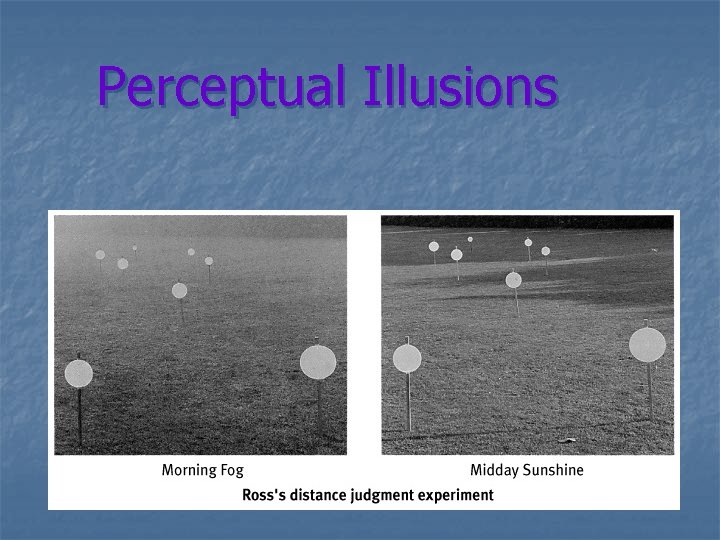 Perceptual Illusions 