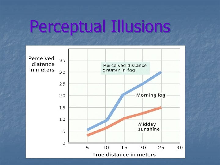 Perceptual Illusions 