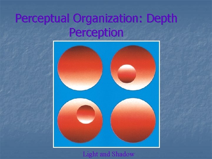 Perceptual Organization: Depth Perception Light and Shadow 