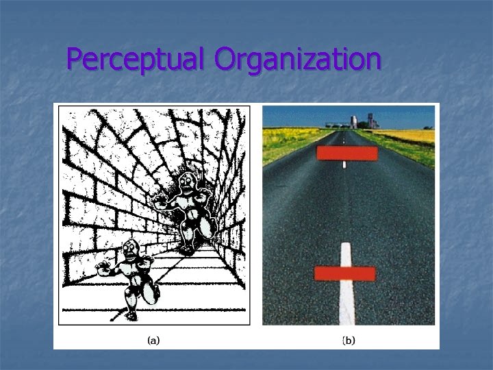 Perceptual Organization 