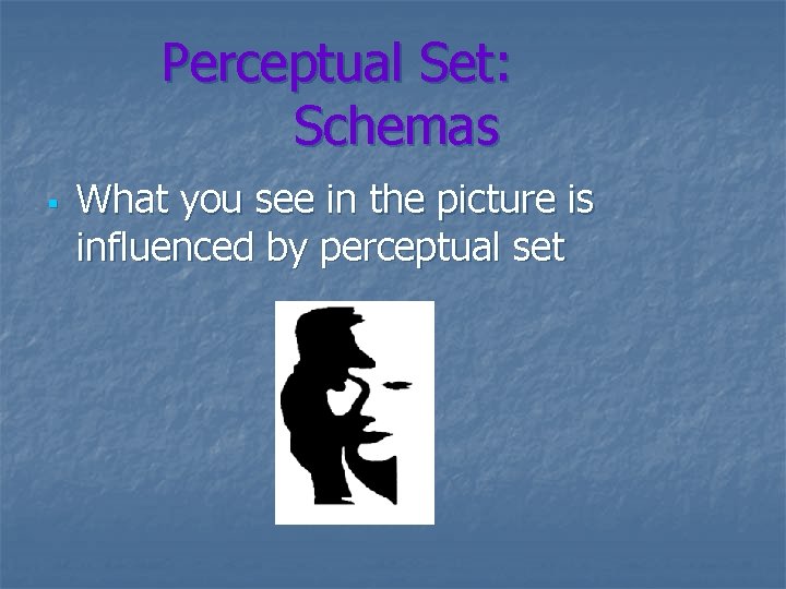 Perceptual Set: Schemas § What you see in the picture is influenced by perceptual