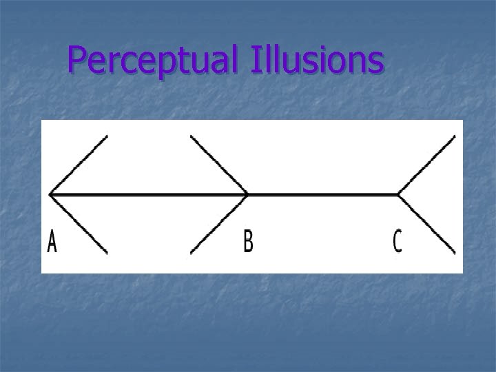 Perceptual Illusions 