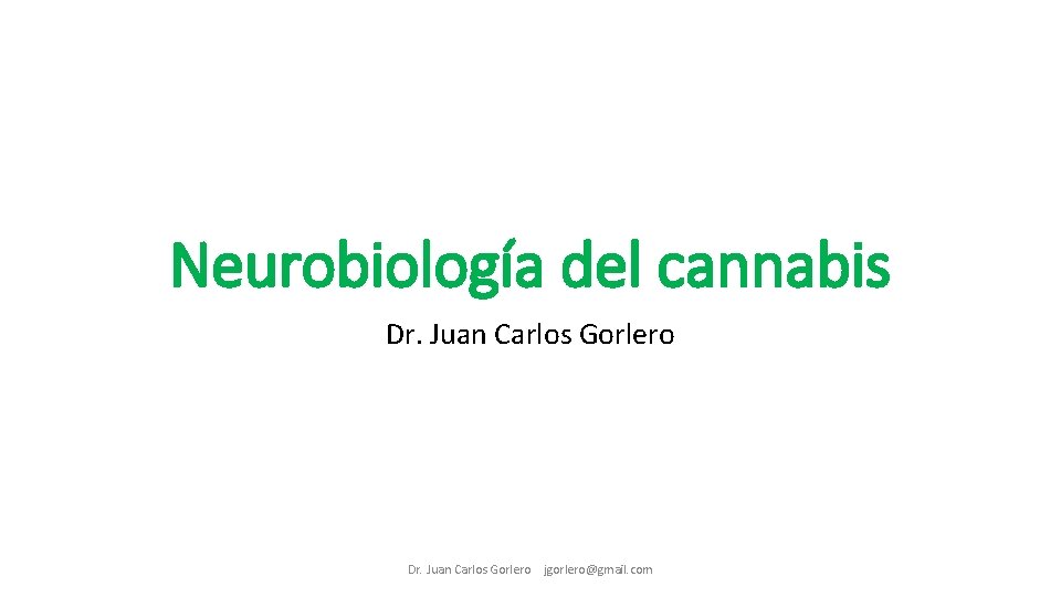 Neurobiología del cannabis Dr. Juan Carlos Gorlero jgorlero@gmail. com 