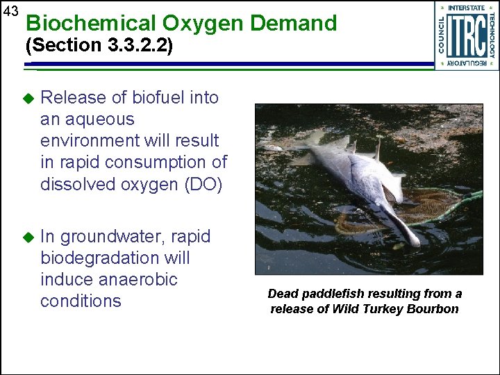 43 Biochemical Oxygen Demand (Section 3. 3. 2. 2) u Release of biofuel into