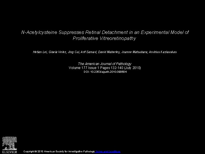 N-Acetylcysteine Suppresses Retinal Detachment in an Experimental Model of Proliferative Vitreoretinopathy Hetian Lei, Gisela