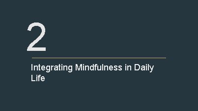 2 Integrating Mindfulness in Daily Life 