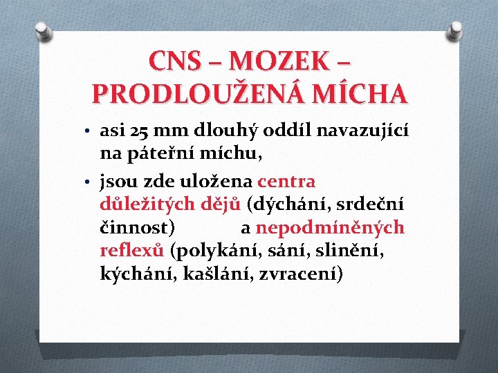 CNS – MOZEK – PRODLOUŽENÁ MÍCHA • asi 25 mm dlouhý oddíl navazující na