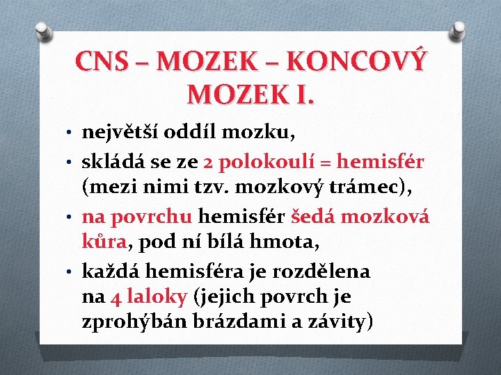 CNS – MOZEK – KONCOVÝ MOZEK I. • největší oddíl mozku, • skládá se