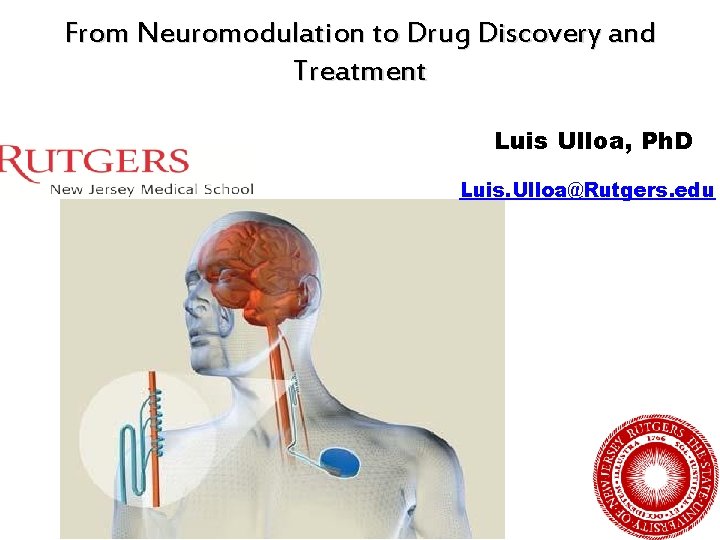 From Neuromodulation to Drug Discovery and Treatment Luis Ulloa, Ph. D Luis. Ulloa@Rutgers. edu