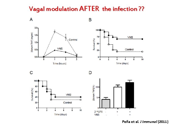 Vagal modulation AFTER the infection ? ? Peña et al. J Immunol (2011) 