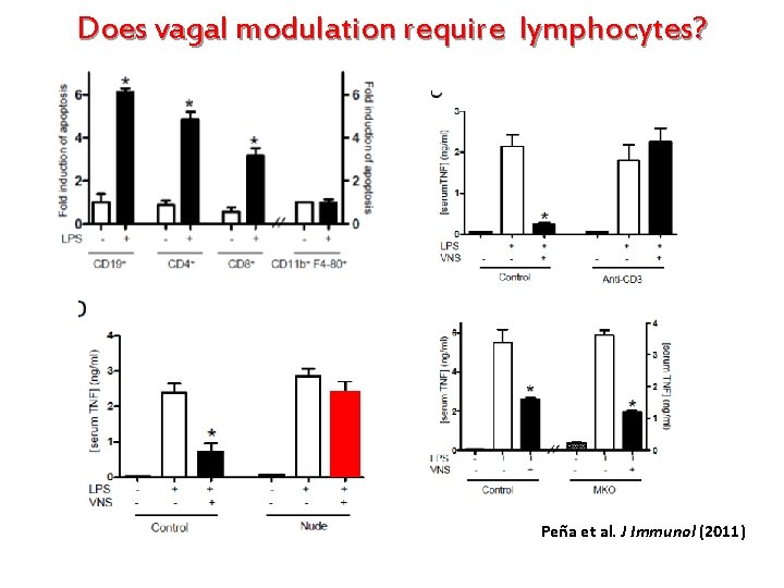 Does vagal modulation require lymphocytes? Peña et al. J Immunol (2011) 