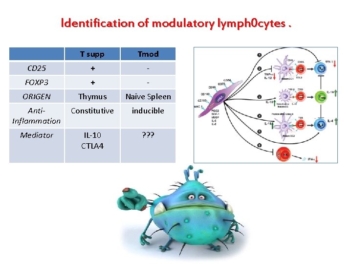 Identification of modulatory lymph 0 cytes. T supp Tmod CD 25 + - FOXP