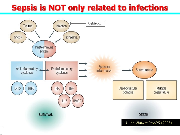 Sepsis is NOT only related to infections Antibiotics L Ulloa. Nature Rev DD (2005)