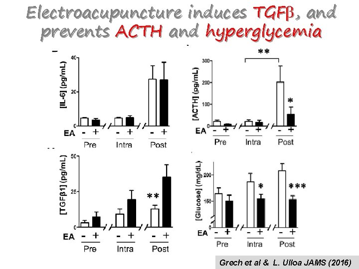 Electroacupuncture induces TGFb, and prevents ACTH and hyperglycemia Grech et al & L. Ulloa
