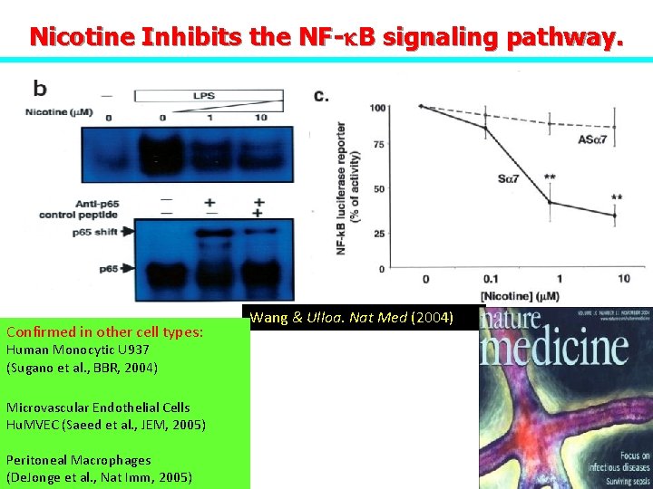 Nicotine Inhibits the NF-k. B signaling pathway. Confirmed in other cell types: Human Monocytic