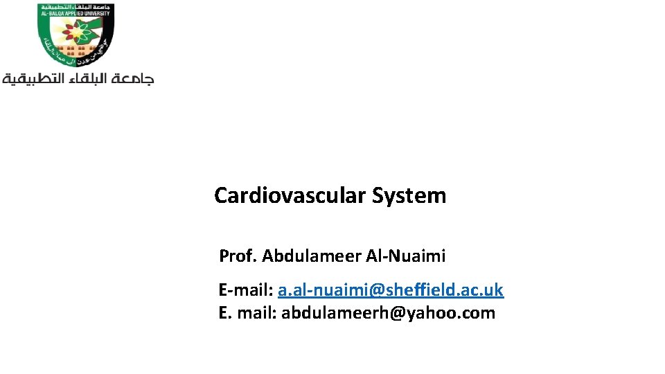 Cardiovascular System Prof. Abdulameer Al-Nuaimi E-mail: a. al-nuaimi@sheffield. ac. uk E. mail: abdulameerh@yahoo. com