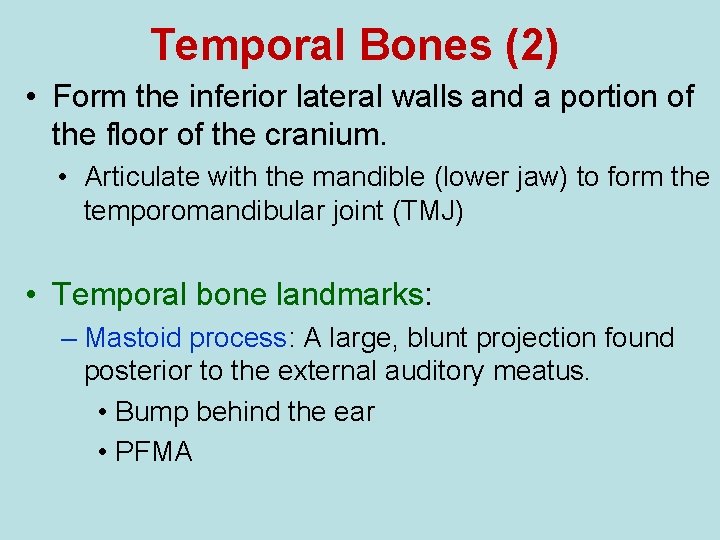 Temporal Bones (2) • Form the inferior lateral walls and a portion of the