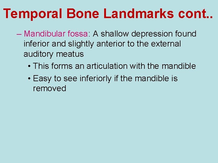 Temporal Bone Landmarks cont. . – Mandibular fossa: A shallow depression found inferior and