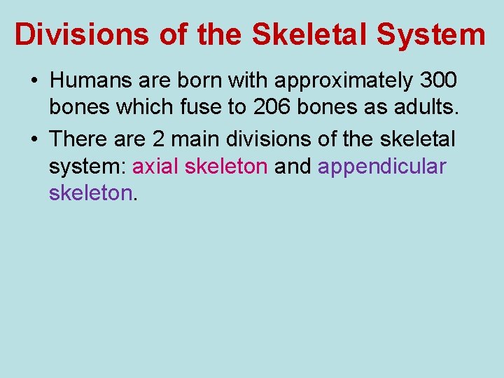 Divisions of the Skeletal System • Humans are born with approximately 300 bones which