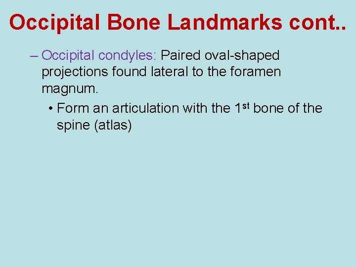 Occipital Bone Landmarks cont. . – Occipital condyles: Paired oval-shaped projections found lateral to