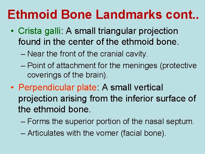 Ethmoid Bone Landmarks cont. . • Crista galli: A small triangular projection found in