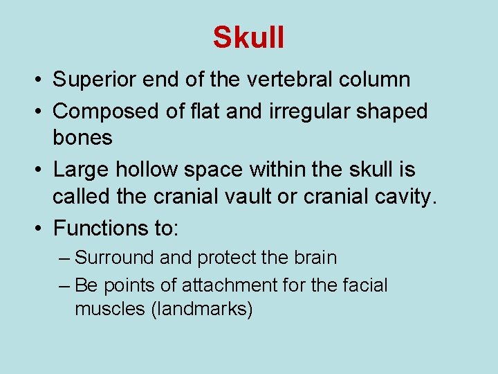 Skull • Superior end of the vertebral column • Composed of flat and irregular