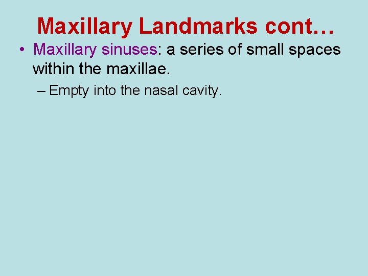 Maxillary Landmarks cont… • Maxillary sinuses: a series of small spaces within the maxillae.