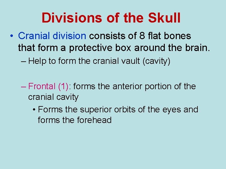 Divisions of the Skull • Cranial division consists of 8 flat bones that form