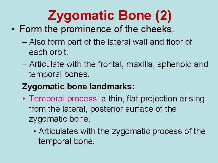 Zygomatic Bone (2) • Form the prominence of the cheeks. – Also form part