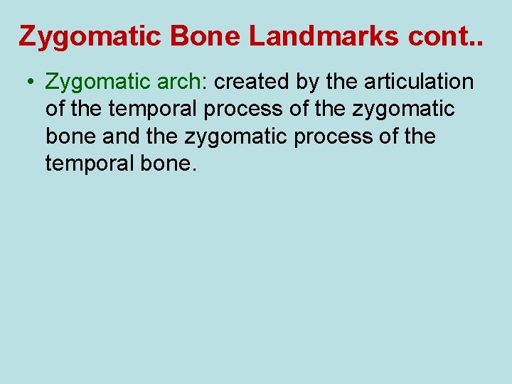 Zygomatic Bone Landmarks cont. . • Zygomatic arch: created by the articulation of the