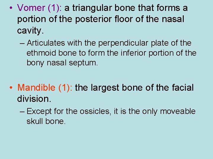  • Vomer (1): a triangular bone that forms a portion of the posterior