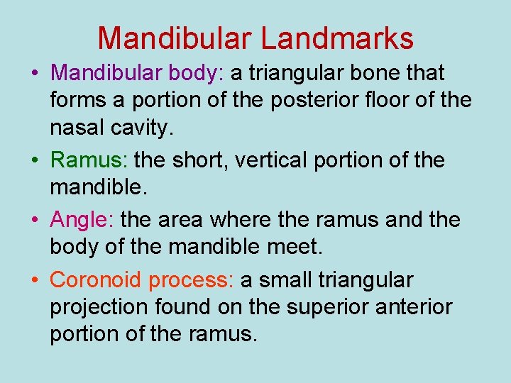 Mandibular Landmarks • Mandibular body: a triangular bone that forms a portion of the