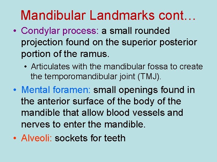 Mandibular Landmarks cont… • Condylar process: a small rounded projection found on the superior