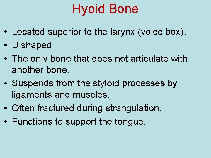 Hyoid Bone • Located superior to the larynx (voice box). • U shaped •