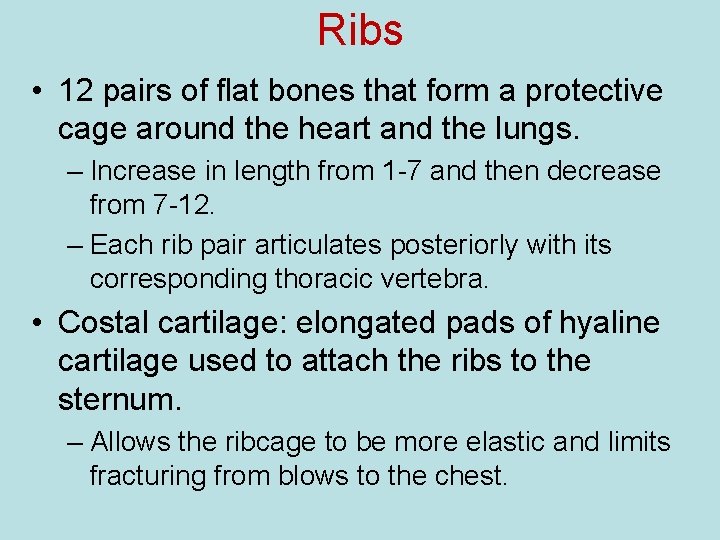 Ribs • 12 pairs of flat bones that form a protective cage around the