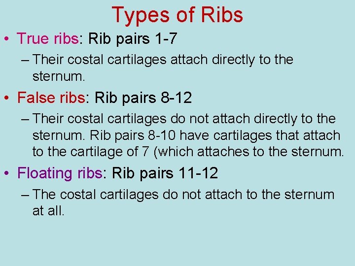 Types of Ribs • True ribs: Rib pairs 1 -7 – Their costal cartilages