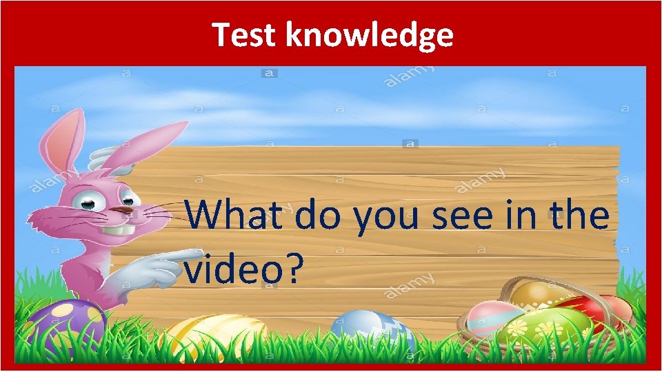 Test knowledge What do you see in the video? 