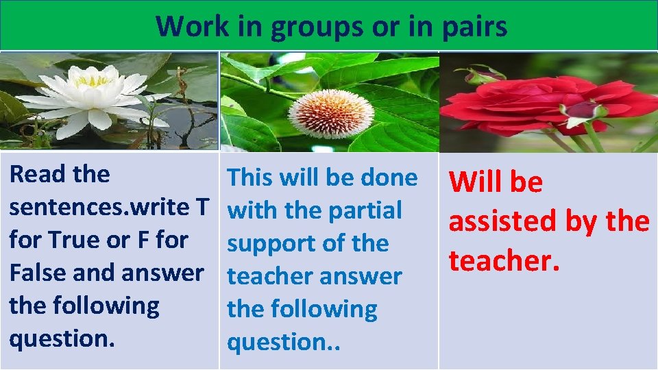 Work in groups or in pairs Read the sentences. write T for True or