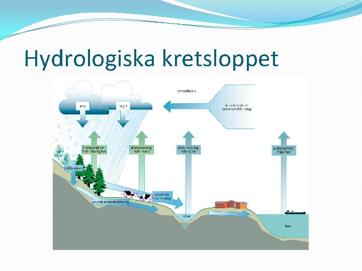 Hydrologiska kretsloppet 