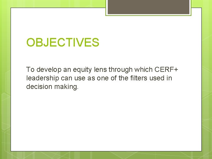OBJECTIVES To develop an equity lens through which CERF+ leadership can use as one