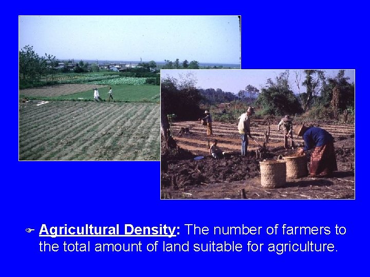 F Agricultural Density: The number of farmers to the total amount of land suitable