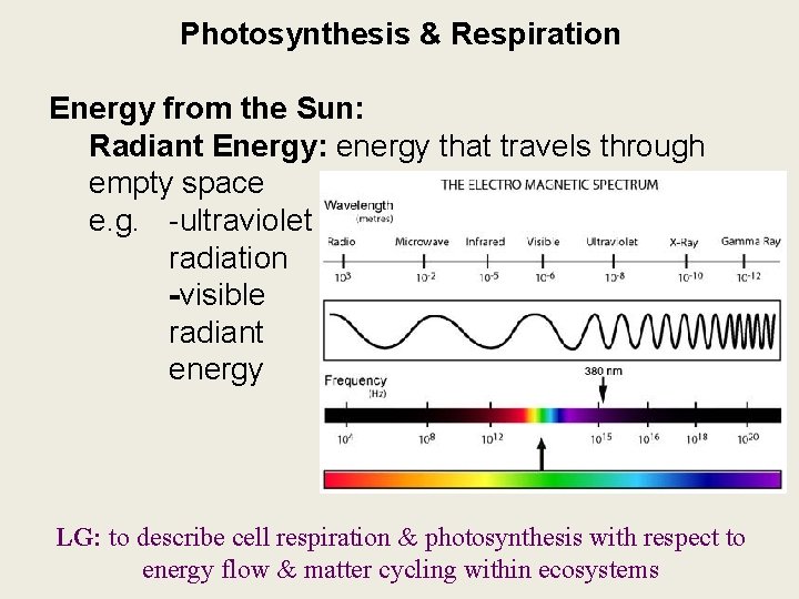 Photosynthesis & Respiration Energy from the Sun: Radiant Energy: energy that travels through empty