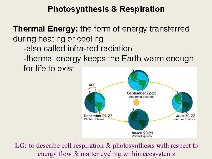 Photosynthesis & Respiration Thermal Energy: the form of energy transferred during heating or cooling