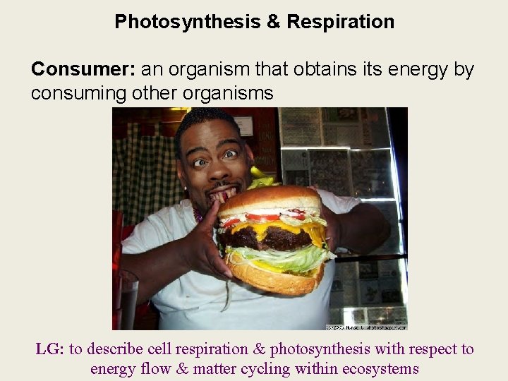 Photosynthesis & Respiration Consumer: an organism that obtains its energy by consuming other organisms