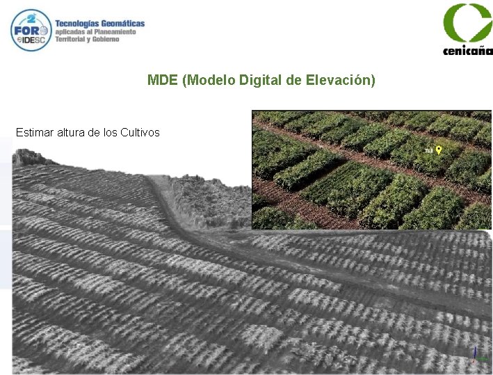 MDE (Modelo Digital de Elevación) Estimar altura de los Cultivos 