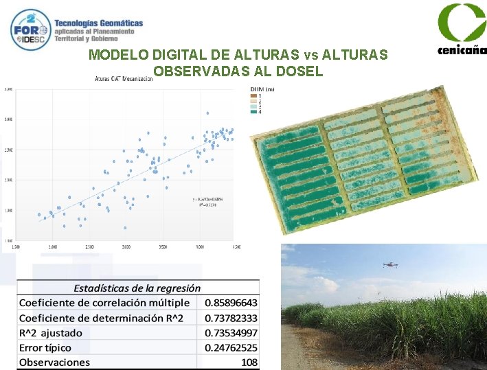 MODELO DIGITAL DE ALTURAS vs ALTURAS OBSERVADAS AL DOSEL 