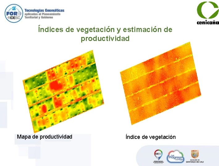 Índices de vegetación y estimación de productividad Mapa de productividad Índice de vegetación 